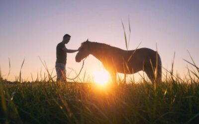 Equine Therapy for Depression Management
